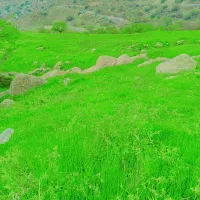 فروشی