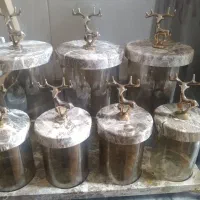 جا ادویه ای