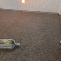 پالاز موکت