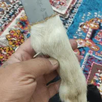 چاقو نوک سوزنی و صلاخی