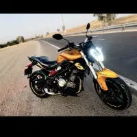 بنلی 300 گلد