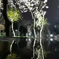 همخانه-خانم-نصیر-شهر