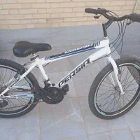 دوچرخه فروشی