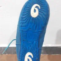 کفش کشتی حرفه ایی