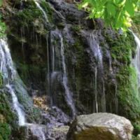 تور یکروزه طبیعت