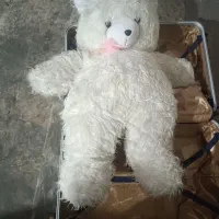 خرس پشمالو بزرگ