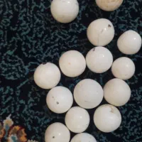 سنگ اسیاب اصلی