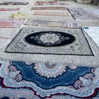 قالیشویی ژینا