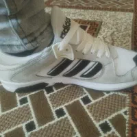 فش کتونی