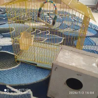 قفس پرنده