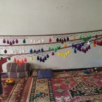شیر دنگ