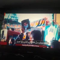 تلویزیون۴۳ TV