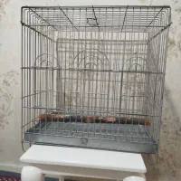 قفس