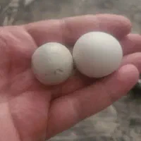 سنگ اسیاب الماس