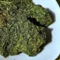 پیاز کوهی(پیازو)