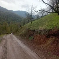 زمین-باغی-گردنه-حیران
