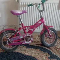 دوچرخه وموتور شارژی