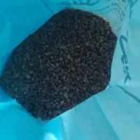 مویز پاک بش