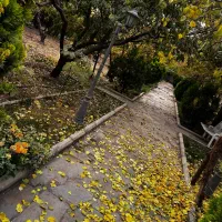 شهریارفرارت منجیل آباد۳۵۰۰۰متر۴دیواری۲۰۰۰متربناسند