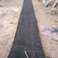 سیاه چادر