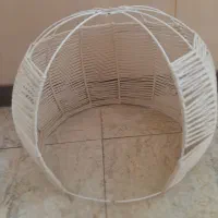 جای خواب سگ و گربه