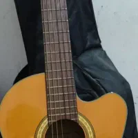 فروش گیتار