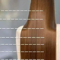 احیای مو