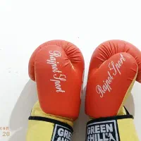 دسکش بوکس