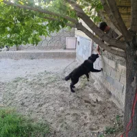 فروش