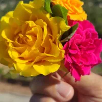 تدریس زبان...متوسطه اول و دوم