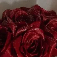 (گل قرمز )کار مکم هرکه کاره دره بوشه