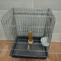 فروش قفس