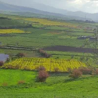 خدمات باغ و باغچه