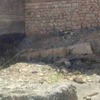 زمین
