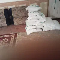 برنج طارم سالم  نیم دانه طارم دمسیاه ندا  فجر