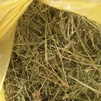 یونجه درجه یک برای خرگوش