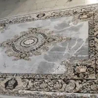 شیدا 2691کد|فرش|ملارد, |دیوار