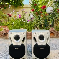 یک جفت باند پاناسونیک