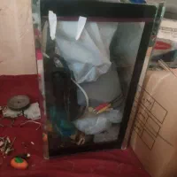 آکاریوم شیشه خم سالم