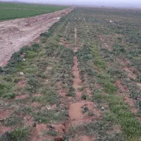 زمین ۱۰۰۰ متری برای ویلا، روستای لاسبید