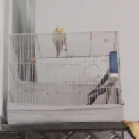 . قفس.