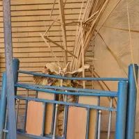 تخت تک نفره مفت