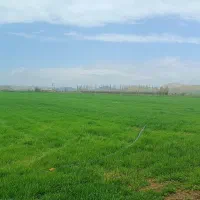 زمین کشاورزی آبی