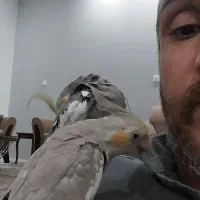 یه جفت عروس سخنگو نروماده هفت ماهه