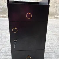 ترولی سالن