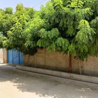 فروش-زمین-مسکونی-داخل-بافت