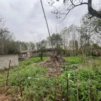 زمین مسکونی