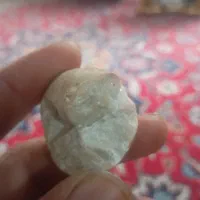 سنگ فسیلی
