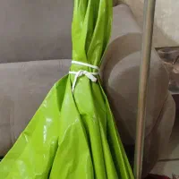 چادر چتری