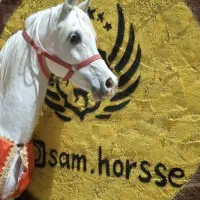 اسب|اسب و تجهیزات اسب‌سواری|باقرشهر, |دیوار